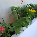 Villa Sopebra *